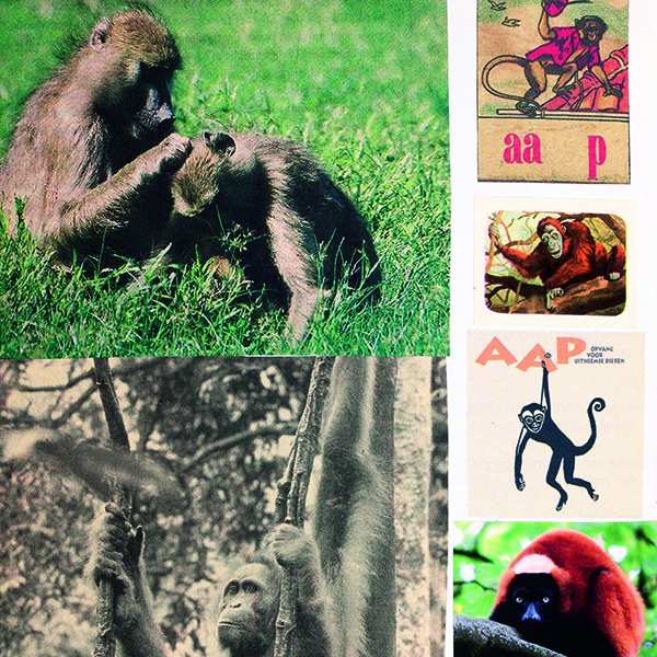 Animations dans l’exposition ANIMALS - Une exposition autour du livre Animal Books de Lous Martens